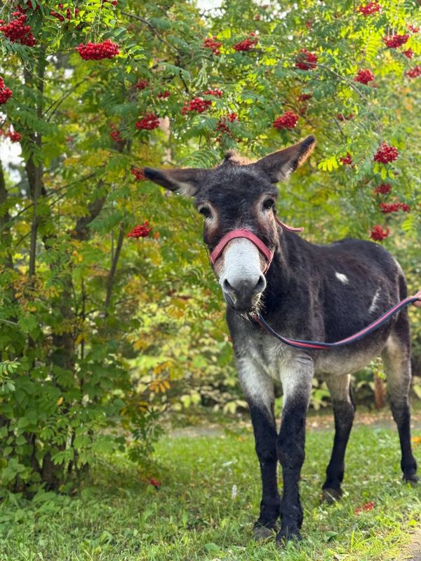 ��������� �������: � ������� ����������� �������� � ������� ������ ��������� ����� �����, �� ����� �������� ������� �� ������