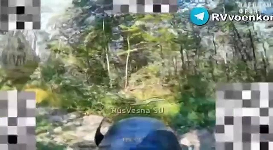 Удар дроном по замаскированной технике ВСУ в Сумской области