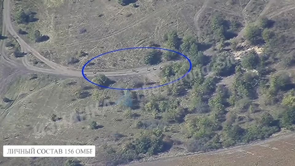 Работа "Гераней" по живой силе и технике ВСУ в Сумской области