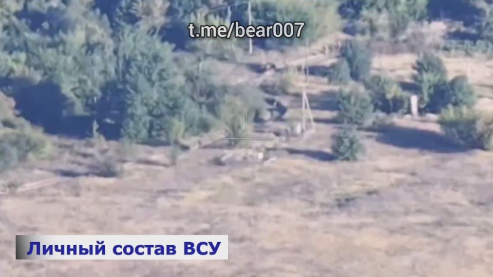 Зачистка приграничья. Работа бойцов армии России в Сумской и Черниговской областях