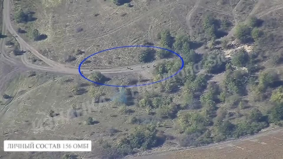 Удар Геранями по пункту дислокации 156 бригады ВСУ в н.п. Зеленая Дубрава Сумской области