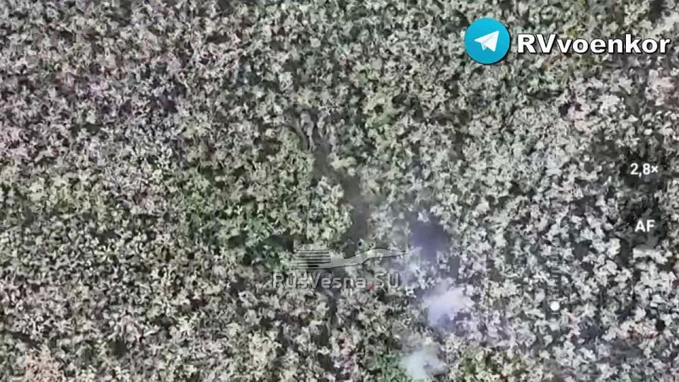 Засада на бронетехнику врага и уничтожение пехоты ВСУ в ходе наступления к Сумам