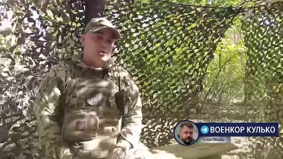 Дмитрий Кулько: Разгром ВСУ в Кременском лесу
