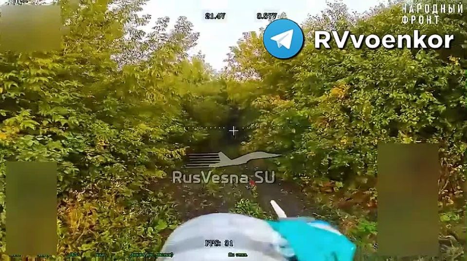Украинец гулял с собакой и встретился с дроном русского спецназа в Сумской области