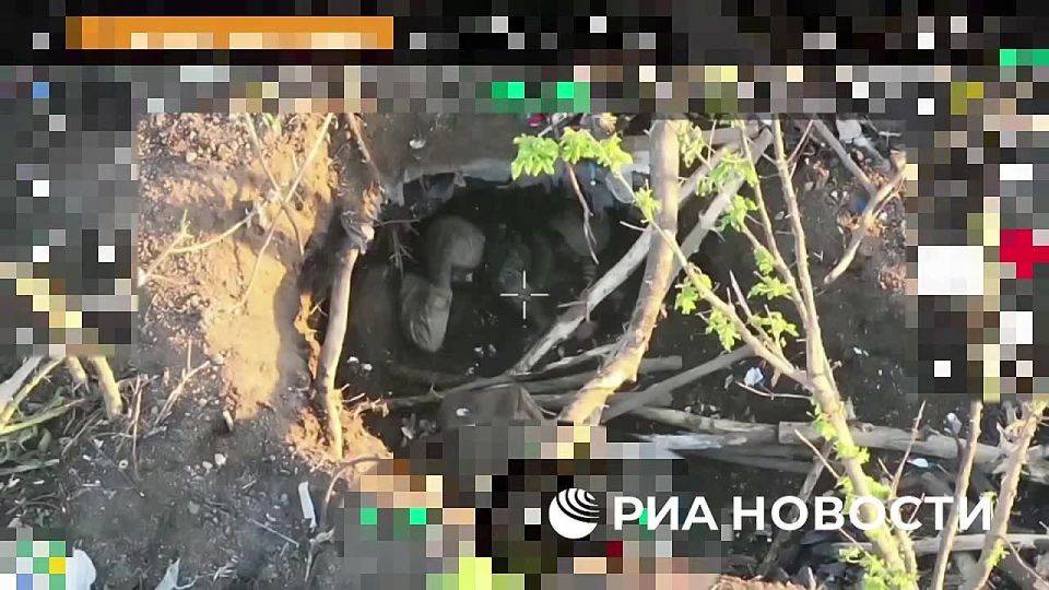 Расчет ударных БПЛА группировки войск "Север", действуя в рамках расширения буферной зоны в Сумской области, выследил под Юнаковкой и уничтожил двух латиноамериканских наемников ВСУ, пытавшихся спрятаться от русских коптеров...