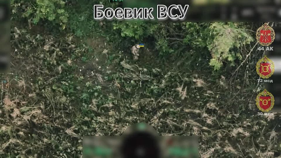 Дымящийся итог. Сумская область