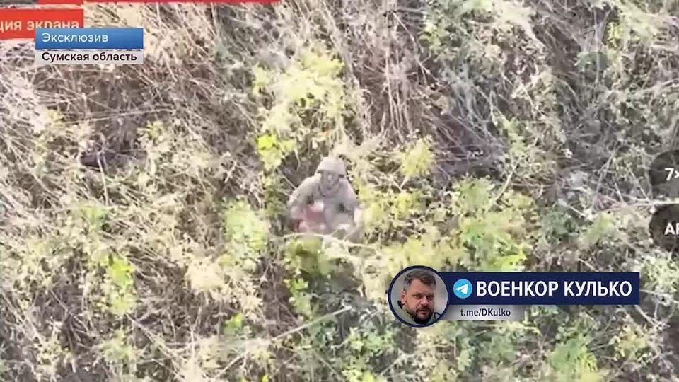 Дмитрий Кулько: ВСУшник со свастикой попался в плен в Сумской области