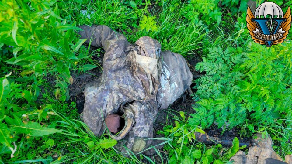 ������ �������� � ������� �������