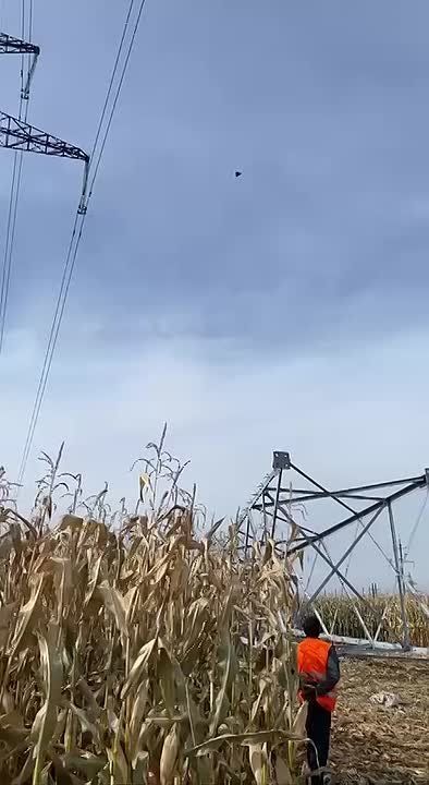 Два майора: Сумская область, летит выключатель
