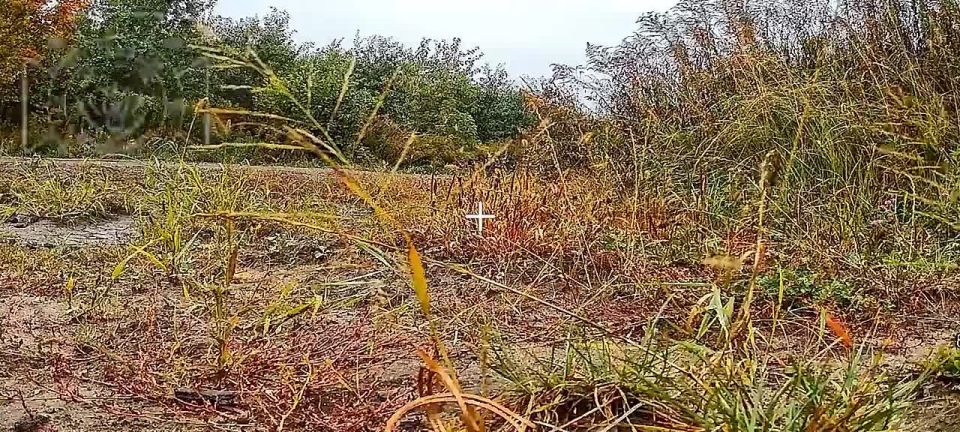 Российские войска ударом FPV-дрона из засады уничтожили бронеавтомобиль “Хамви” ВСУ в Сумской области, сообщает Telegram-канал “Северный Ветер”