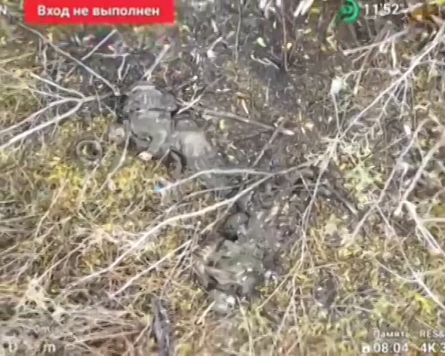 Рамзан Кадыров: Сумская область. Направление села Алексеевка