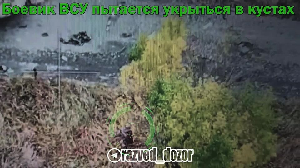 Операторы FPV группировки "Север" догнали и уничтожили группу боевиков ВСУ и пикап в районе н.п. Новодмитровка Сумской области