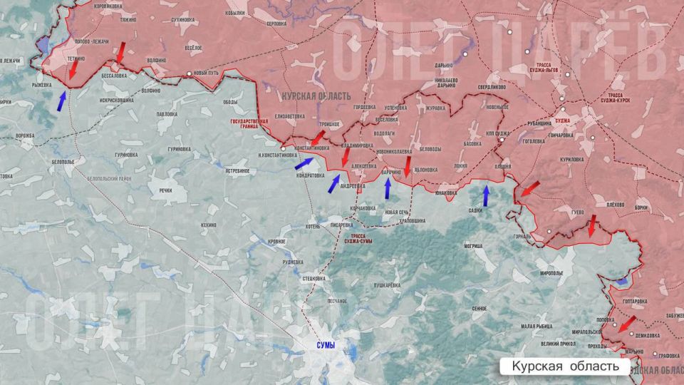 ���� ����: ��������� ������ 13 �������