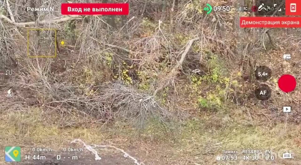 Рамзан Кадыров: Сумское направление.. Отряд «Аида» легендарного спецназа «АХМАТ» МО РФ @AptiAlaudinovAKHMAT продолжает планомерно очищать закреплённый участок от непрошеных гостей