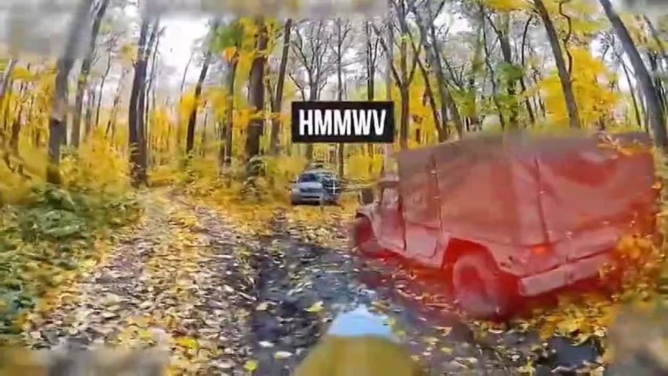 Подразделение хохлятских дроноводов кошмарило приграничные районы Белгородчины, сидя в лесополосе в сопредельном районе Сумской области