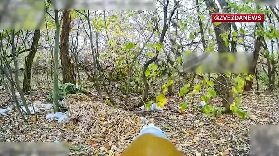 Американская боевая машина не смогла спрятаться в лесу