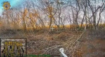 Апти Алаудинов: Уничтожение живой силы и блиндажа противника