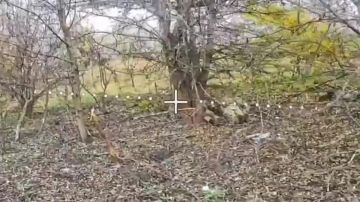 Работа операторов ВС РФ по пехоте ВСУ