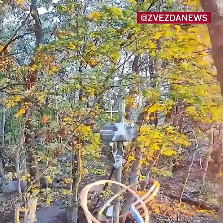 Охоту на скрытые объекты ВСУ показали наши десантники в Сумской области