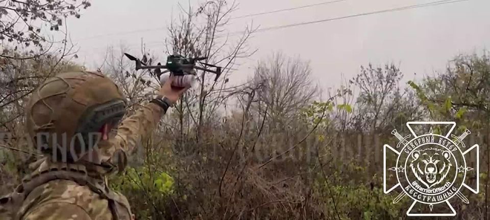 Офицер ВСУ призвал сложить оружие и сдаться своих подчиненных, получив агитационную листовку с инструкцией по сдаче в плен