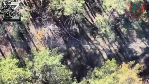 Поражение пункта управления БПЛА 117 бригады ТрО (Сумская область) на Лиманском направлении