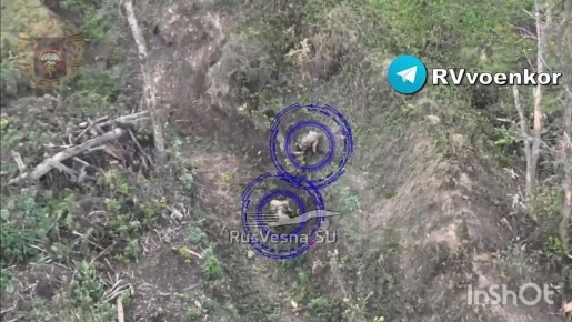 Наступление на Сумы: разведка уничтожает пехоту ВСУ в приграничье