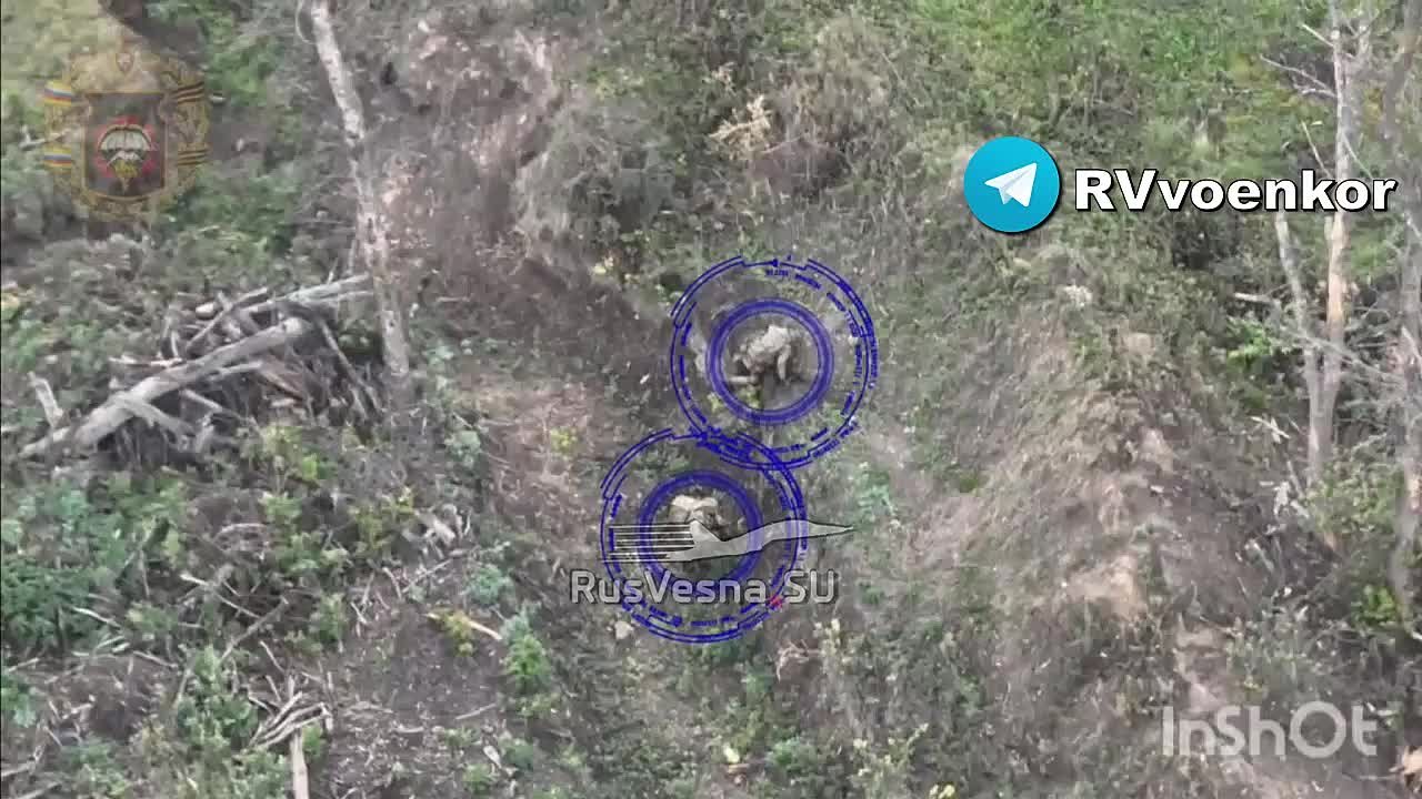 Наступление на Сумы: разведка уничтожает пехоту ВСУ в приграничье