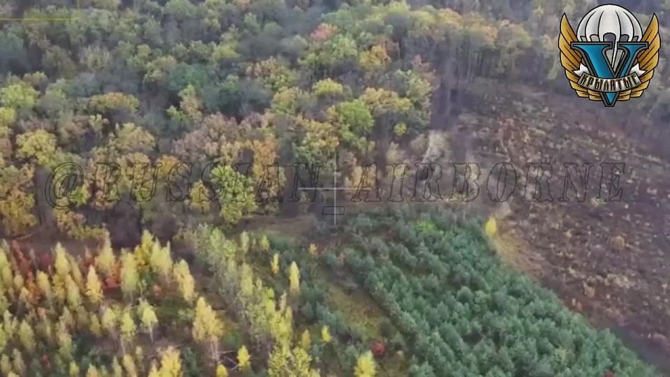 Удар БПЛА «Молния» по украинской позиции в Сумской области