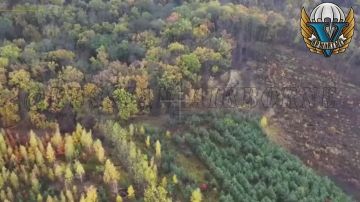 Удар БПЛА «Молния» по украинской позиции в Сумской области