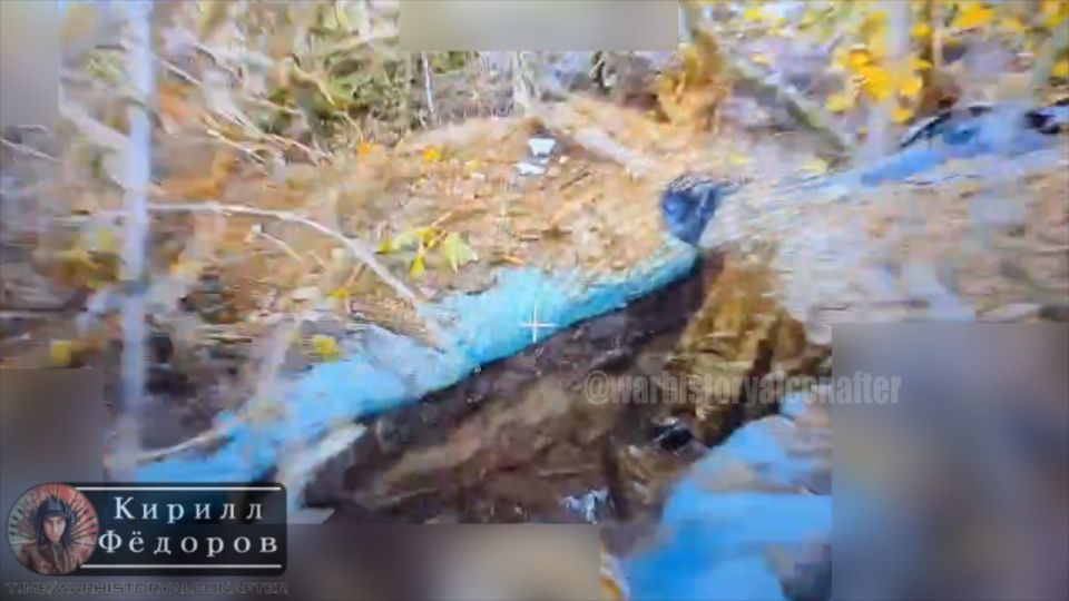 ������� ����� �� �����!. #���������