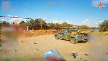  :  . 00:00           ,      113      