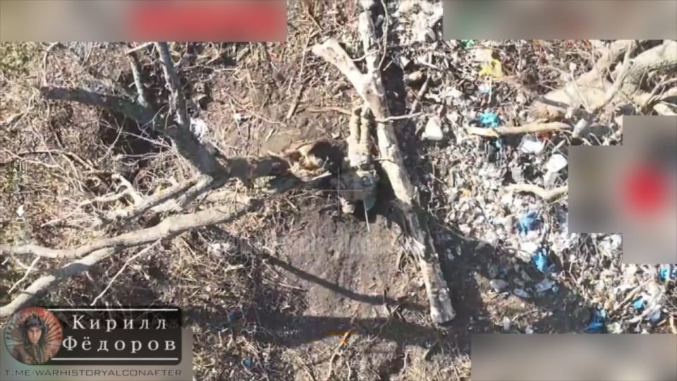 ������� ����� �� �����!. #���������