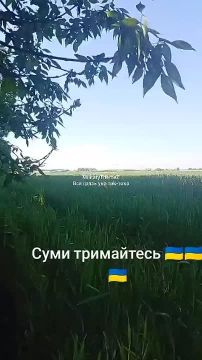 Архив. Сумы.. Шикарные прилеты по позициям боевиков