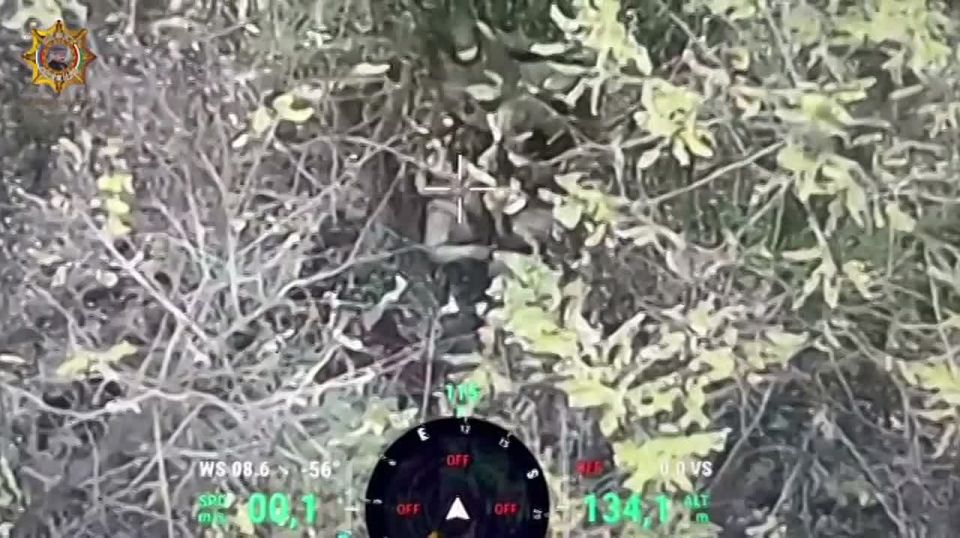 ���� ���������: ���������� �������� ������ ����������