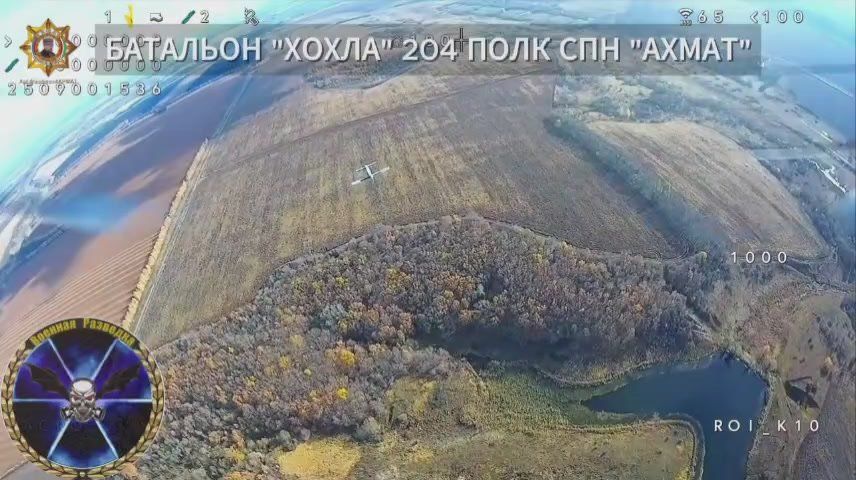 ���� ���������: ����������� ����������������� � ������� ���� ����������