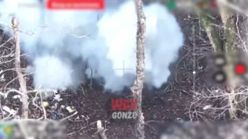 «Опричники» виртуозно очищают Сумское направление