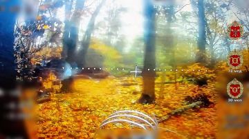 Работа операторов БПЛА 30-го мотострелкового полка по сокращению поголовья ВСУшников в Сумской области