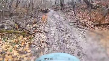 Евгений Поддубный: Зачисткой лесополос от противника в Сумском приграничье продолжают заниматься подразделения беспилотных систем группировки войск "Север"