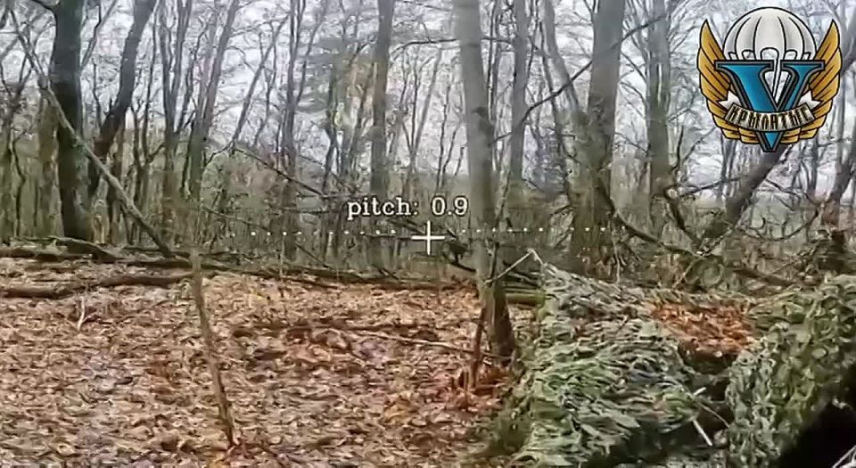 Сумское направление. Вслед за пехотой противника в "нору" тут же проскочили два фпв-дрона @russian_airborne