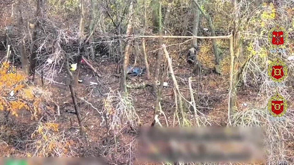 Без права на скрытность. Сумская область Расчёт БпЛА ликвидировал группу ВСУ в лесном массиве