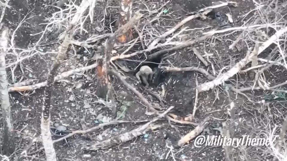 Сумское направление. ВСУшник вместо попадания в плен или летальным исходом от FPV-дрона, выбрал вариант самовыпилиться