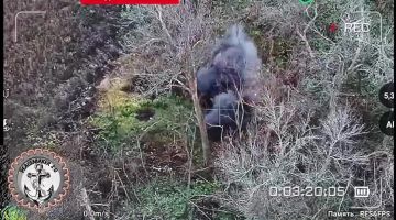 Изящная работа операторов Морской пехоты ВС РФ по личному составу ВСУ