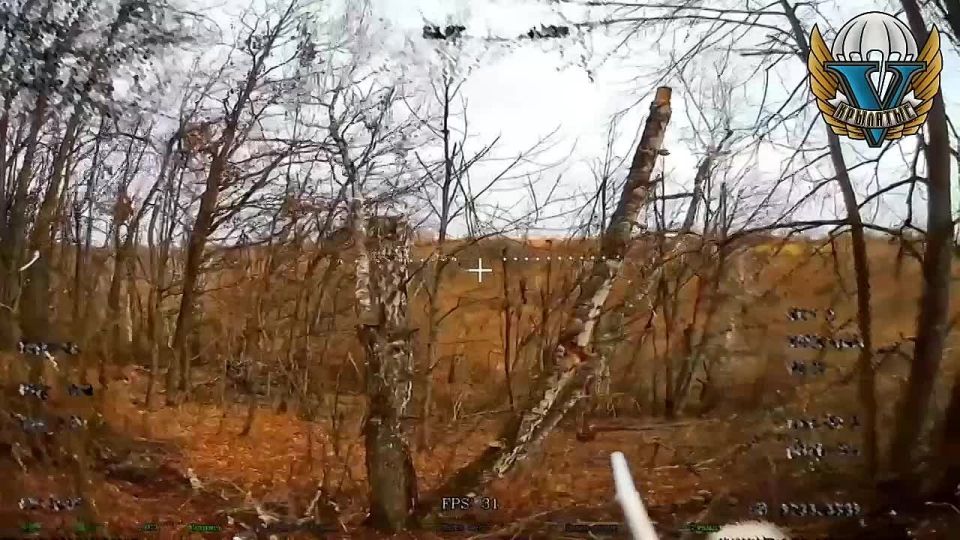 Десантники в Сумской области работают дронами по норкам, в которых укрываются всушники