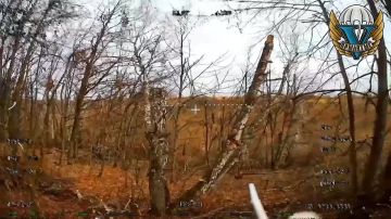 Десантники в Сумской области работают дронами по норкам, в которых укрываются всушники