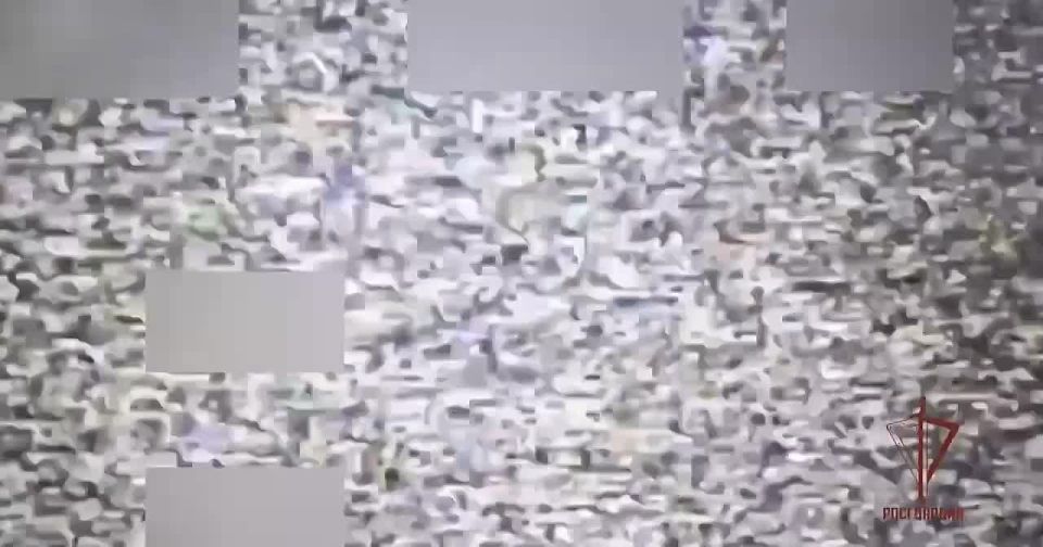 Спецназ Росгвардии уничтожил пункты временной дислокации противника на Сумском направлении