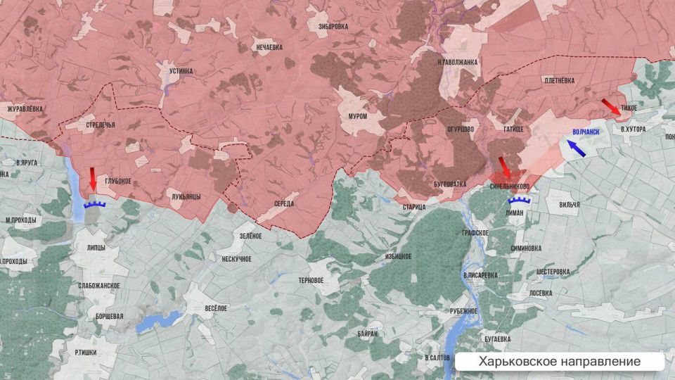 ���� ����: ��������� ������ 29 ������