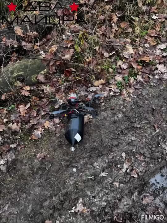 Два майора: Сумское направление, работает FPV-расчет "Тихий"