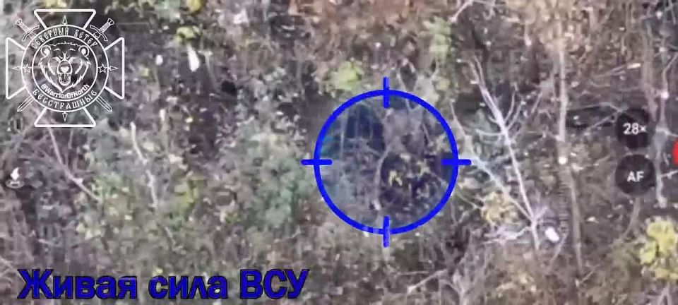 Зачистка приграничья. Уничтожение временно живой силы ВСУ в Сумской области