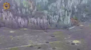 Апти Алаудинов: Уничтожение живой силы противника