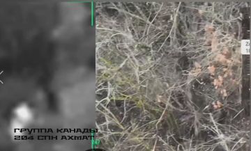 Рамзан Кадыров: Сумское направление. Район населенного пункта Мирополье